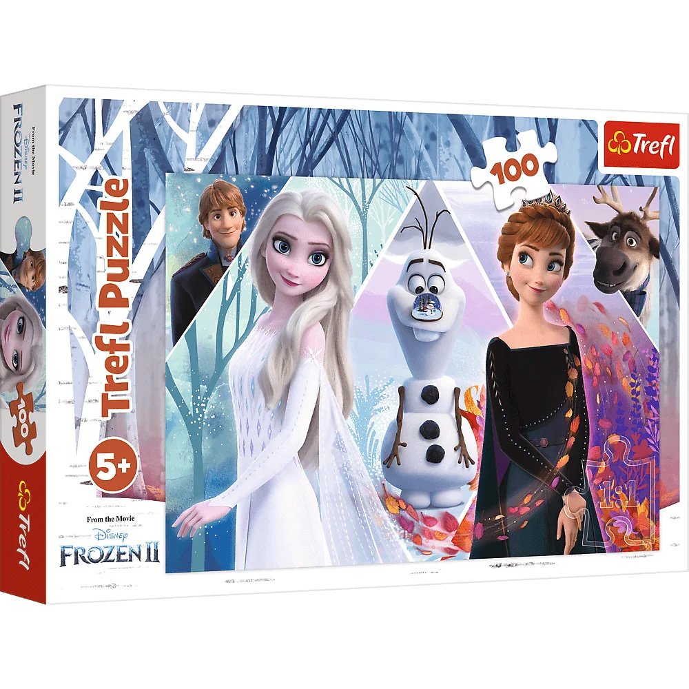 Enchanted Land – Puzzle 100 pieces