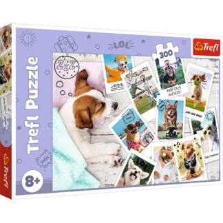 Holiday Pictures – Puzzle 300 pieces