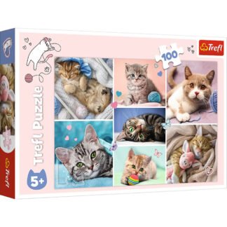 Monde de Chats – Puzzle 100 pièces