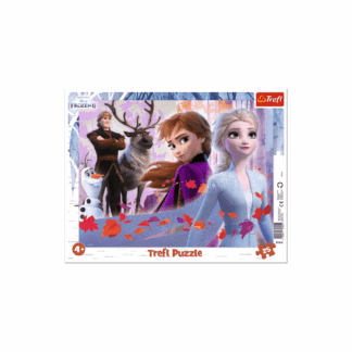 Puzzle Cadre – La Reine des Neiges