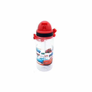 Gourde Disney Cars