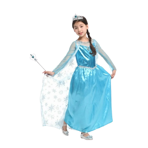 frozen princess elsa deguisement-1