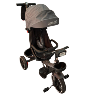 2 en 1 tricycle poussette evolutif
